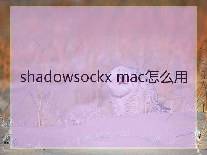 shadowsockx mac怎么用