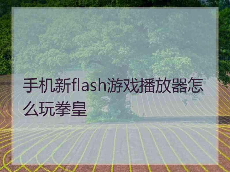 手机新flash游戏播放器怎么玩拳皇