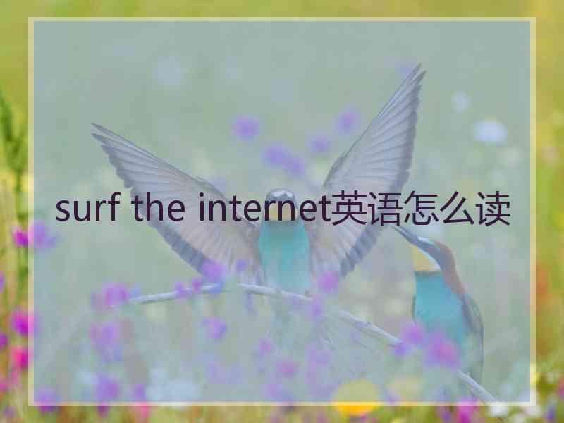 surf the internet英语怎么读