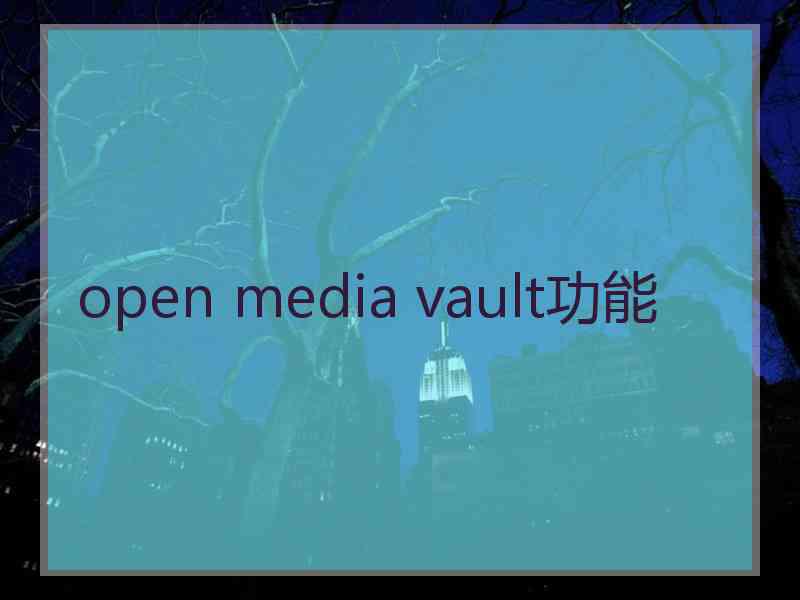 open media vault功能