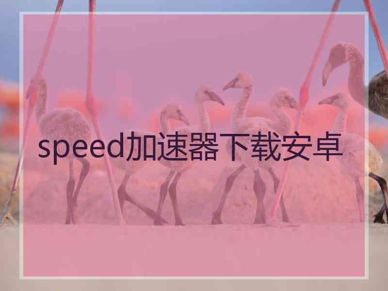 speed加速器下载安卓