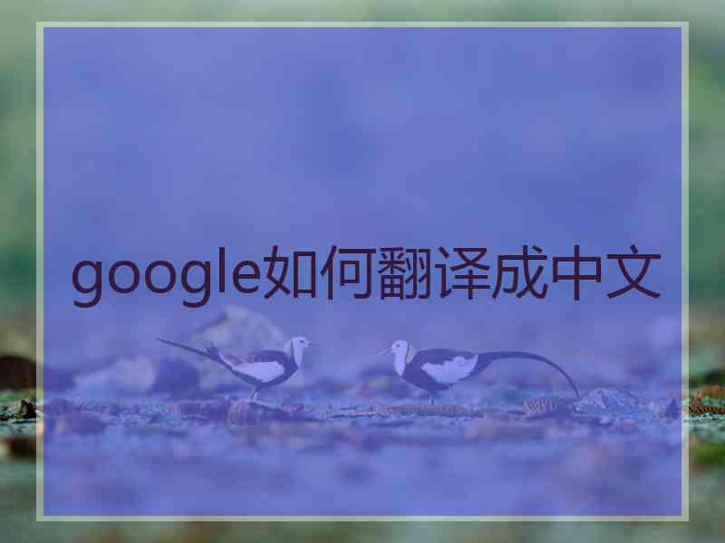 google如何翻译成中文