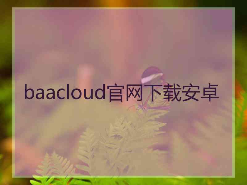 baacloud官网下载安卓