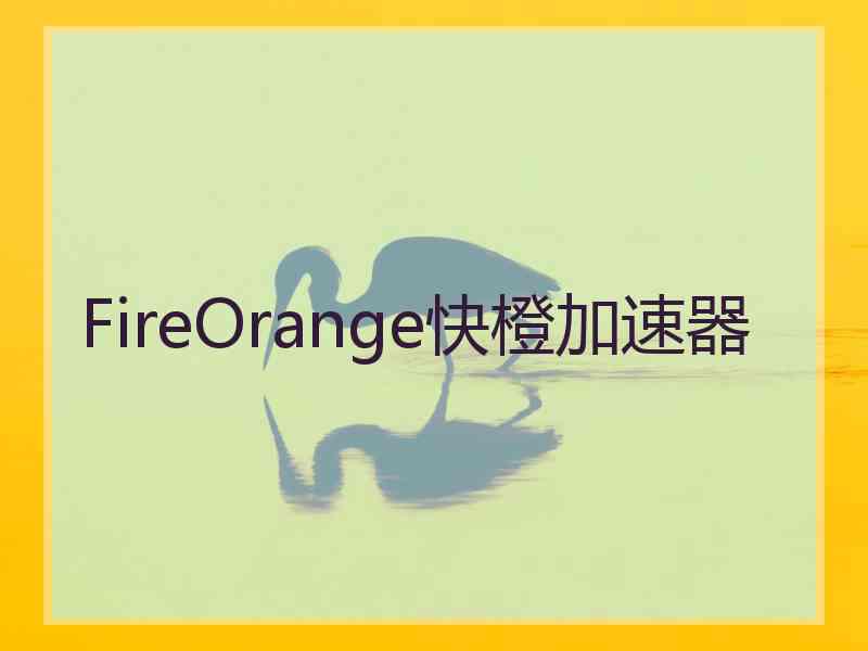 FireOrange快橙加速器