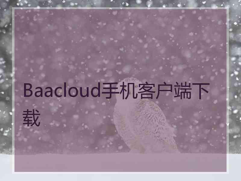 Baacloud手机客户端下载