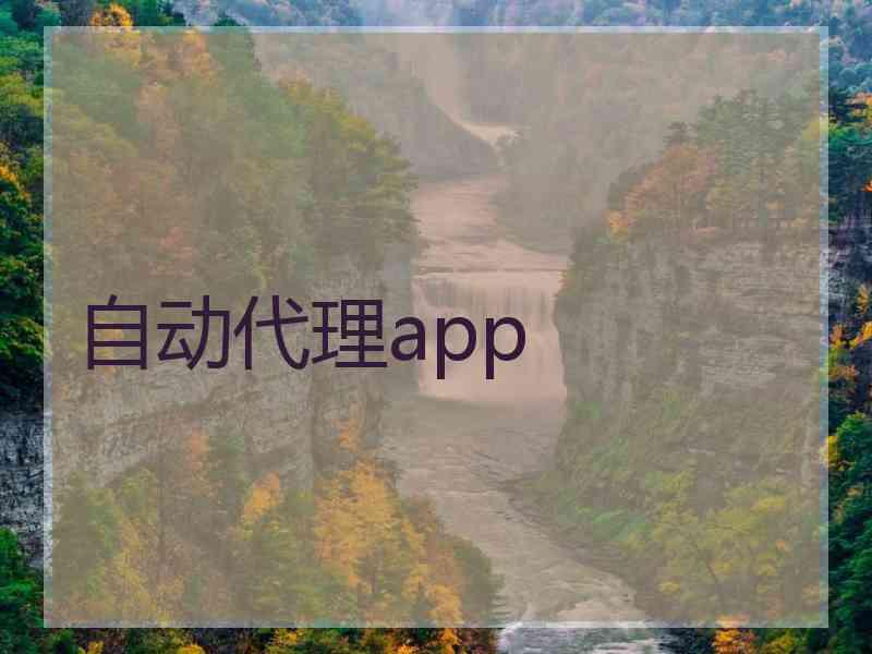 自动代理app