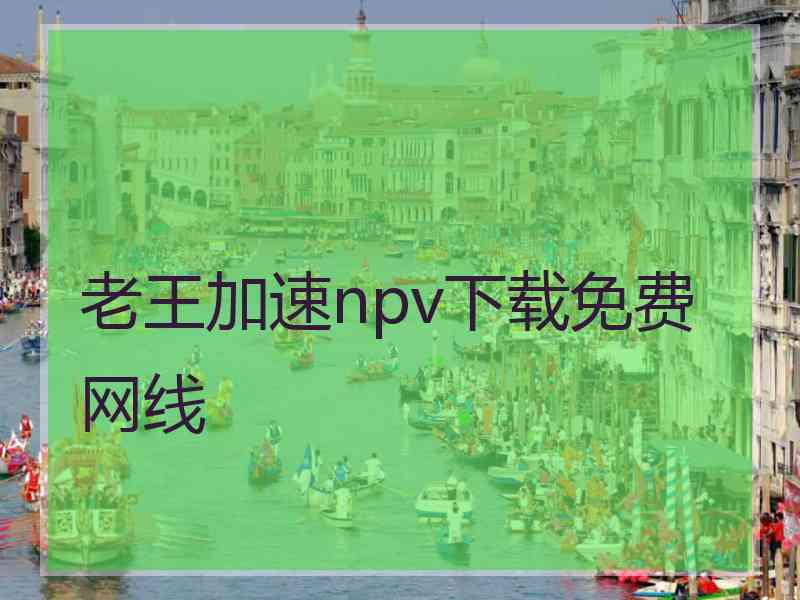 老王加速npv下载免费网线