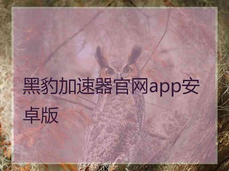 黑豹加速器官网app安卓版