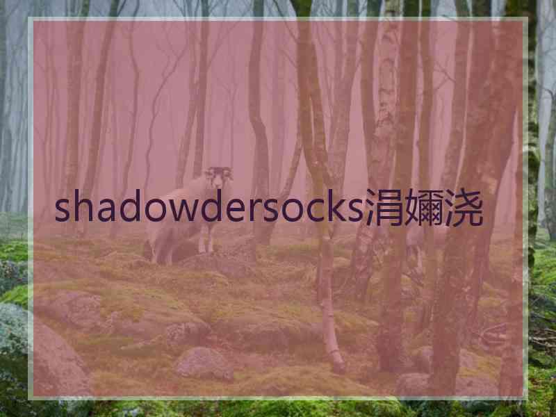 shadowdersocks涓嬭浇