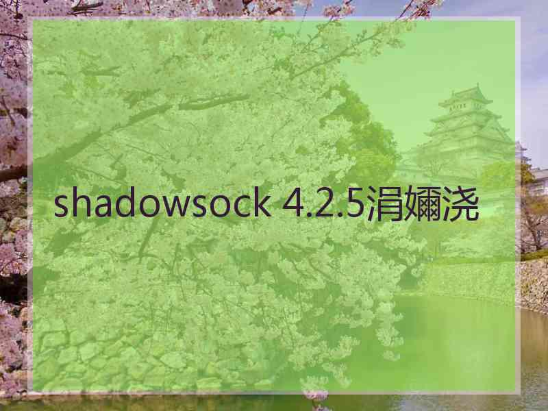 shadowsock 4.2.5涓嬭浇