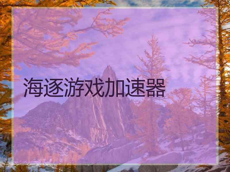 海逐游戏加速器