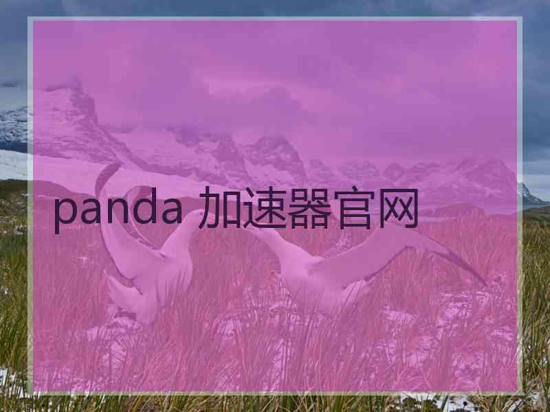 panda 加速器官网