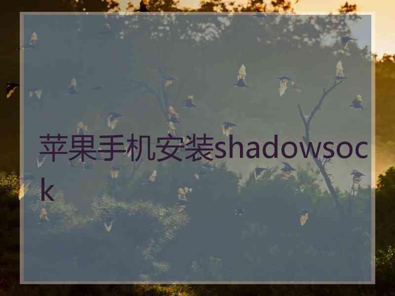 苹果手机安装shadowsock