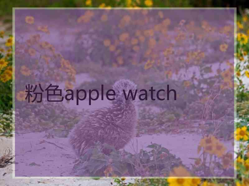 粉色apple watch