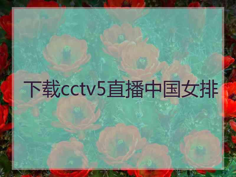 下载cctv5直播中国女排
