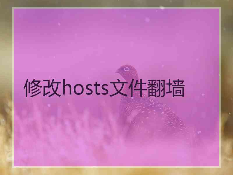 修改hosts文件翻墙