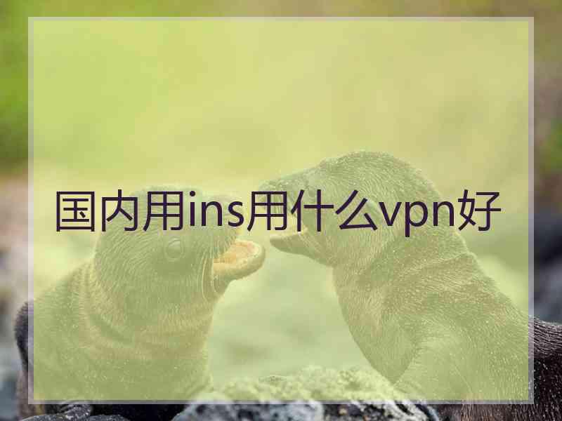 国内用ins用什么vpn好