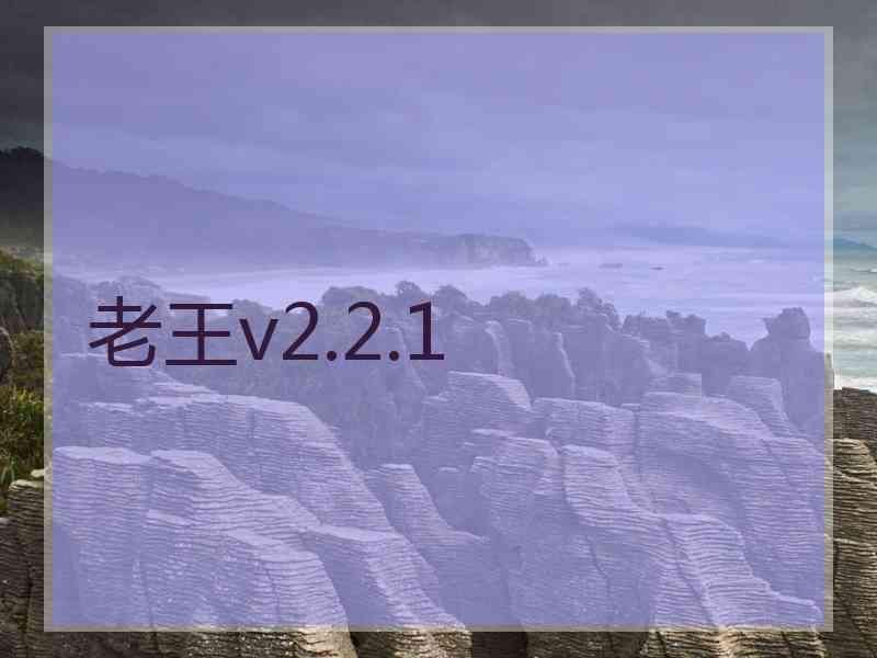 老王v2.2.1