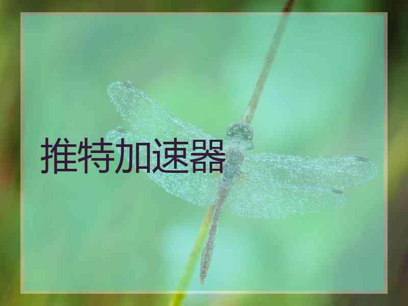 推特加速器